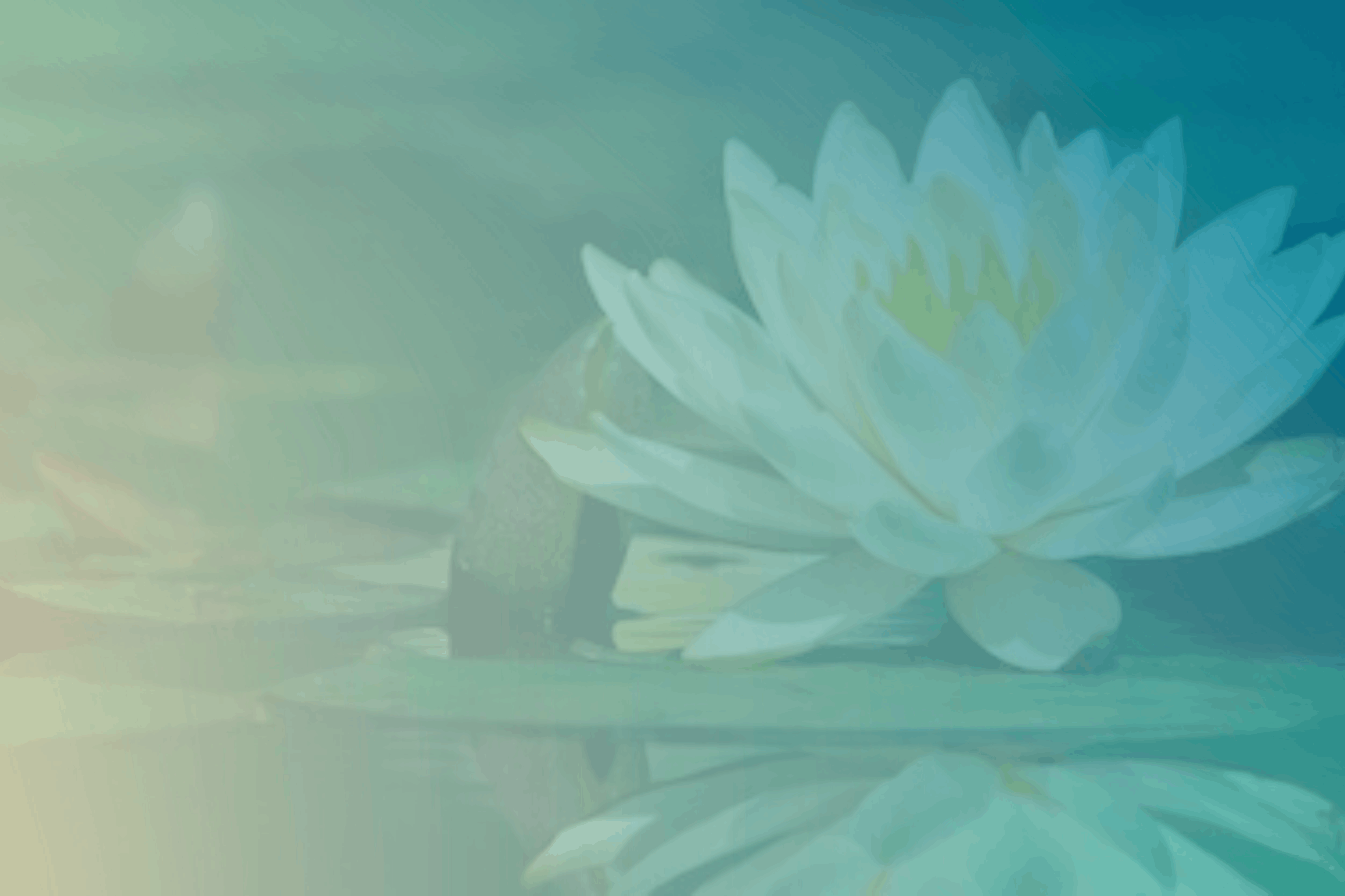 Retiros de Meditação Mindfulness