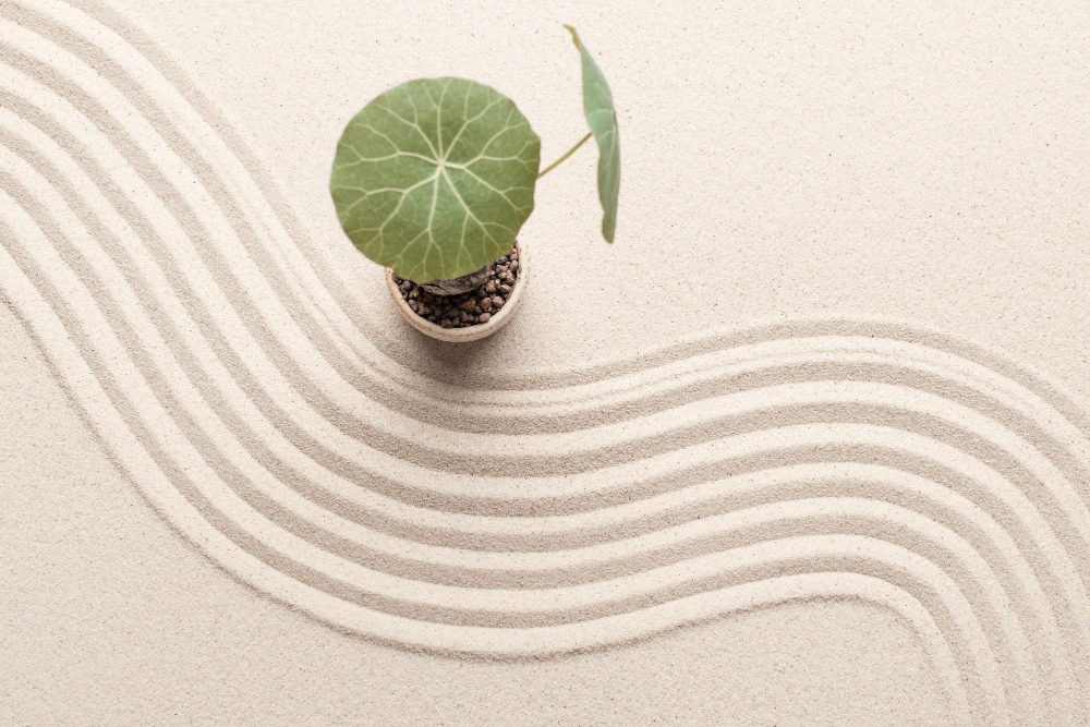 Introdução ao toque na Psicoterapia Orientada pelo Trauma - <b>Registration Deadline