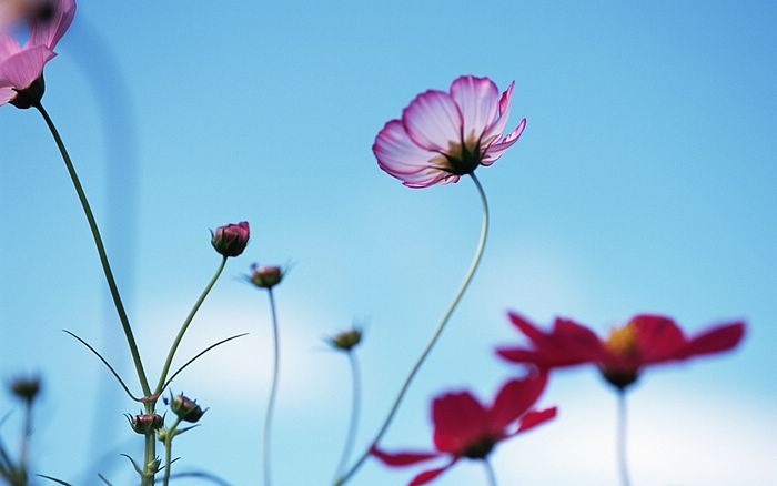 MBCT-L: Mindfulness para a Vida - <b>Sessão 4