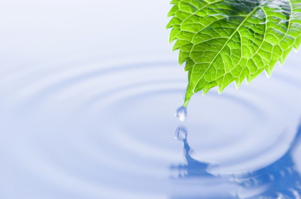 Professional Training of Mindfulness Based Relapse Prevention