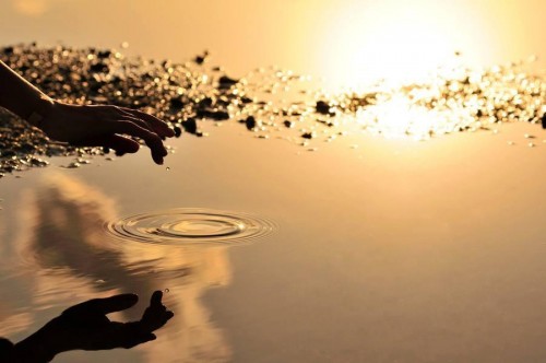 Mindfulness: O Viver no Momento Presente